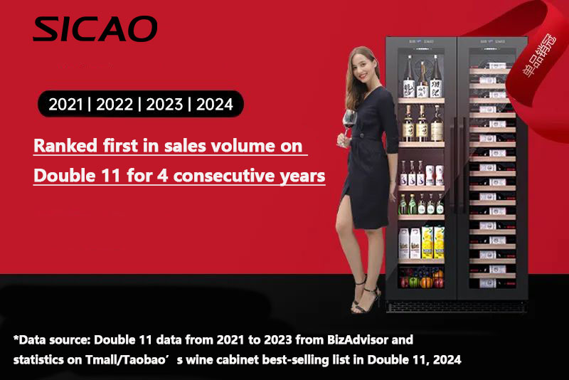 SICAO 20th Anniversary Celebration