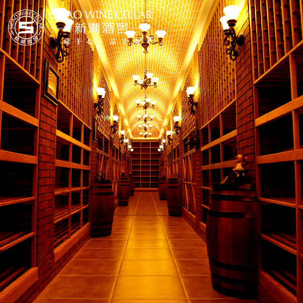 Xinhua Alliance Group